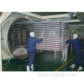 Prune low temperature vacuum freeze dryer